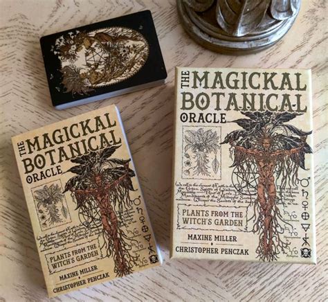 Using the Botanical Witch Oracle PDF to Enhance Your Witchcraft Practice
